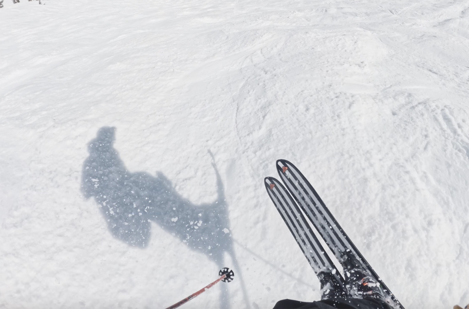 Blister reviews the Salomon Depart 1.0