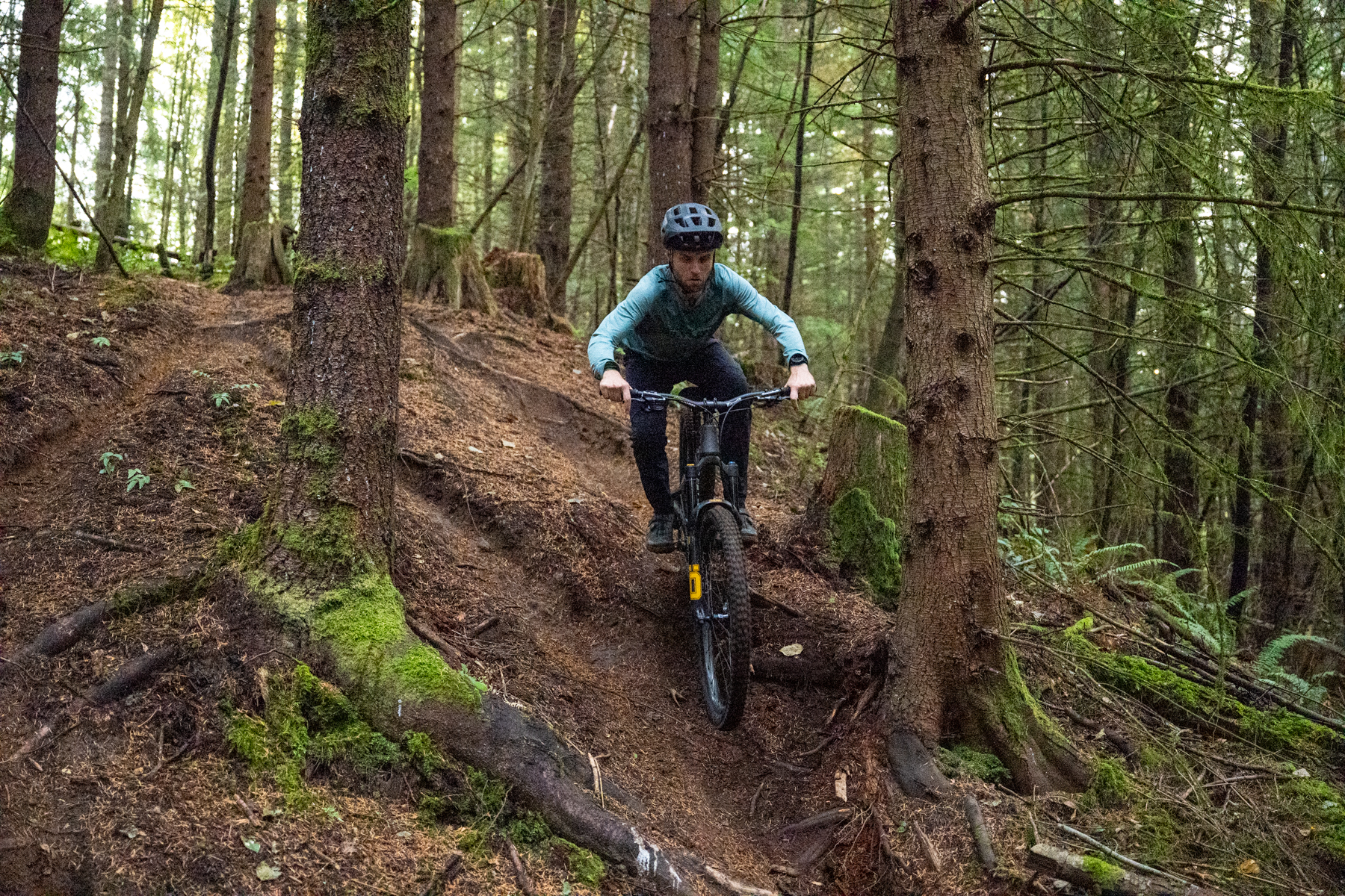 David Golay reviews the EXT Vecta for Blister