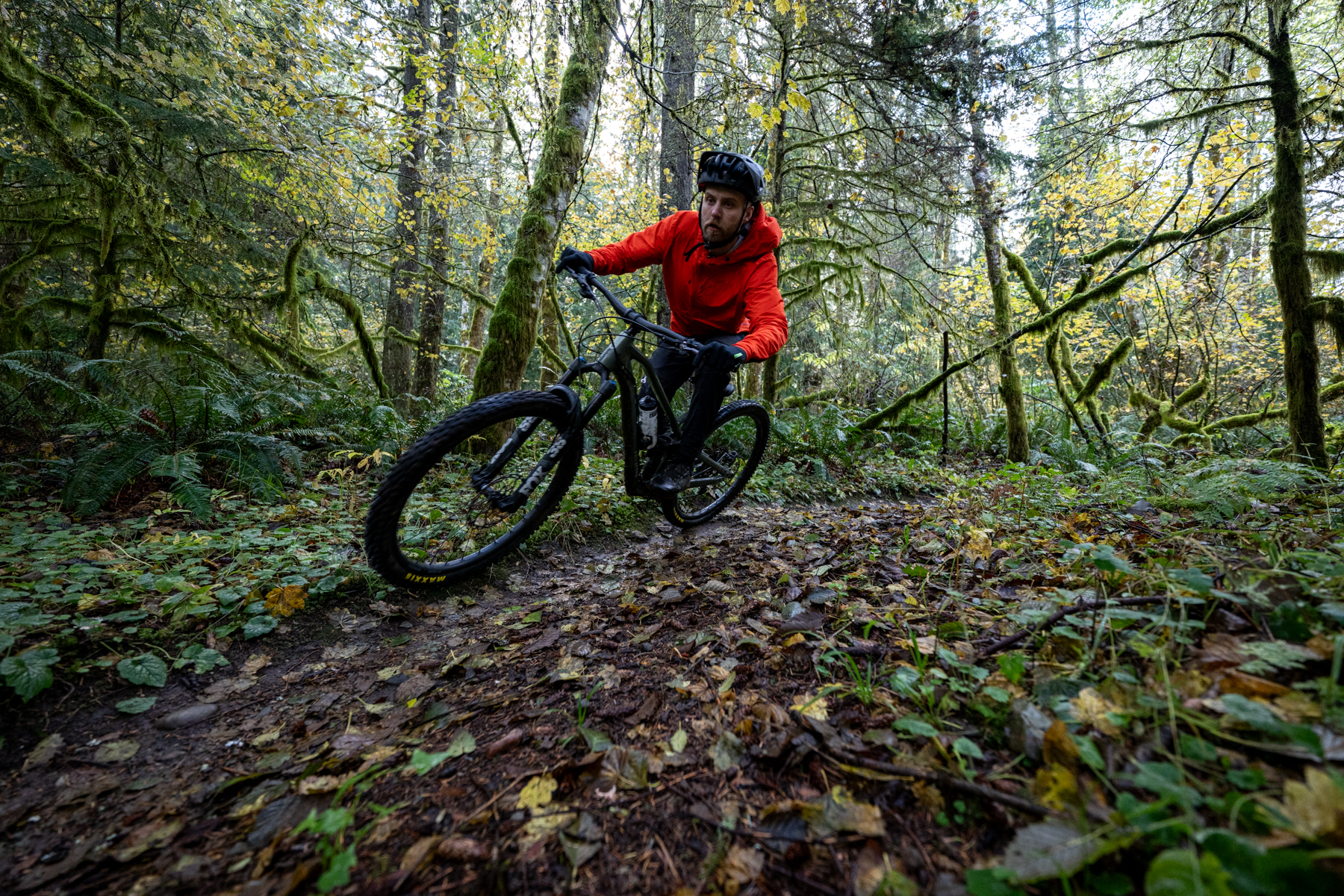 BLISTER reviews FSA's Gradient wheels, cranks, and cockpit
