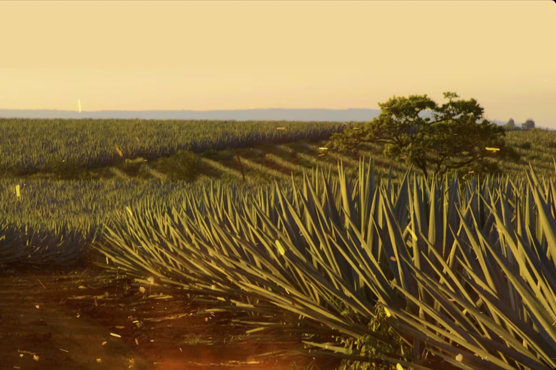 The Highlands of Jalisco where Don Julio Tequila is made.
