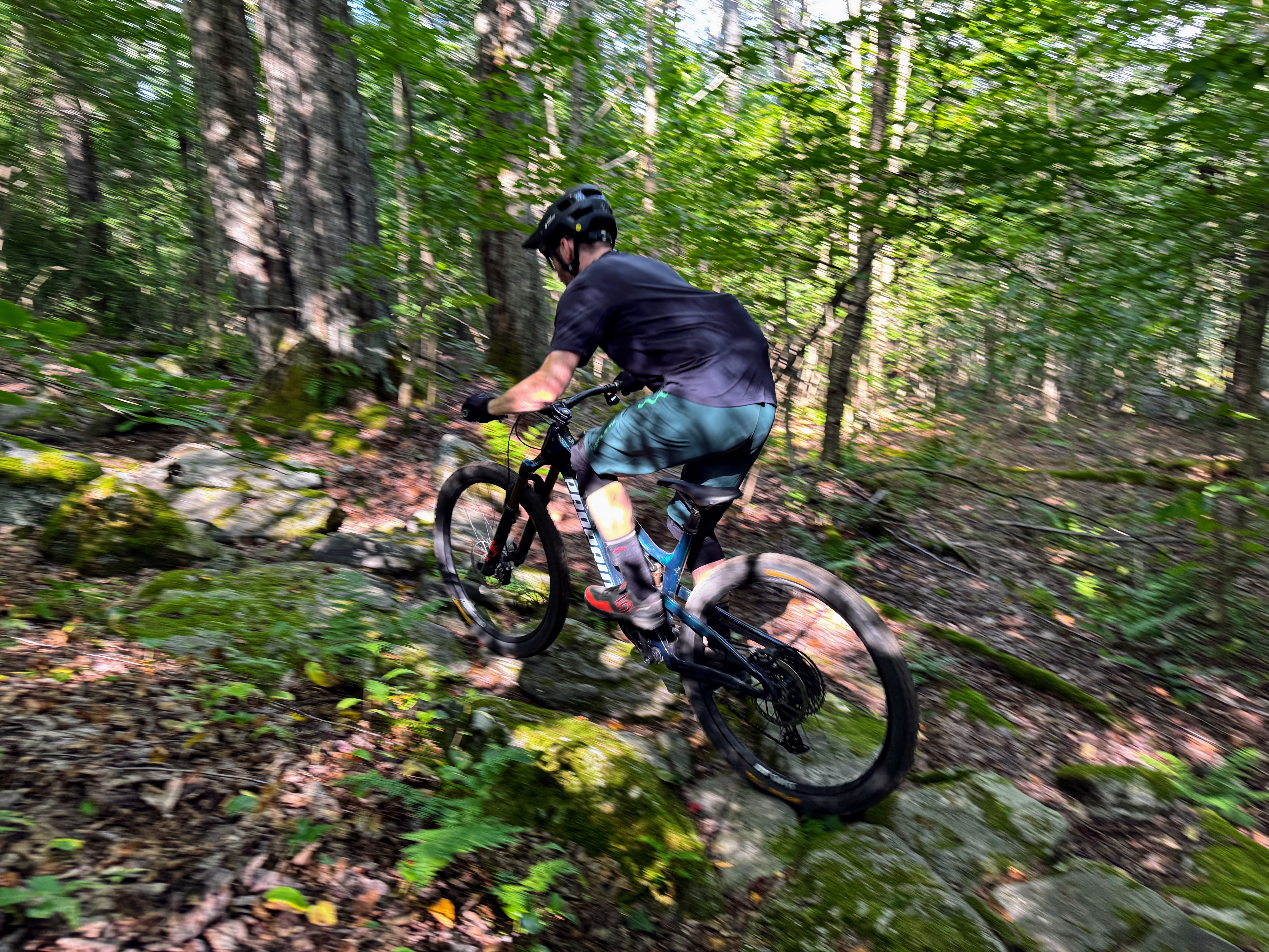 Xan Marshland and David Golay review the Propain Tyee 6.1 for Blister