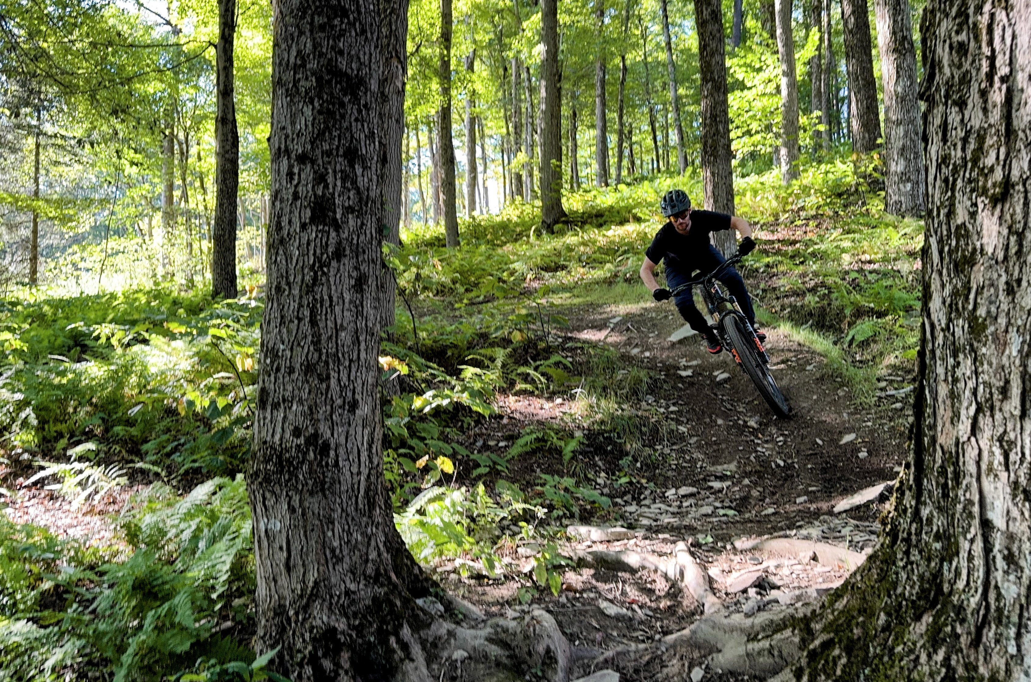 Xan Marshland and David Golay review the Propain Tyee 6.1 for Blister