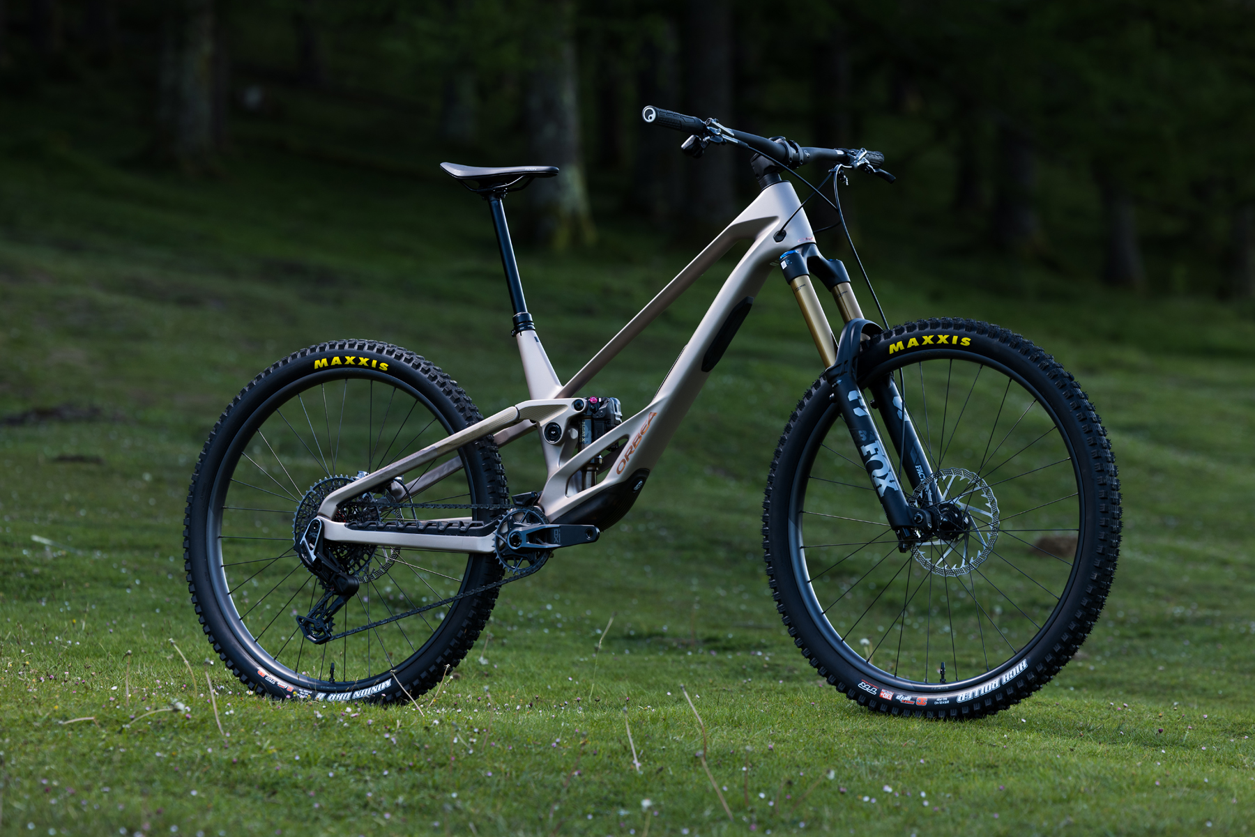 David Golay reviews the Orbea Rallon for Blister