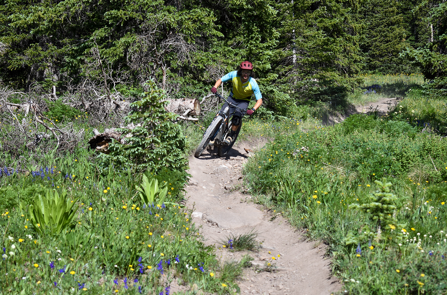 Dylan Wood reviews the Shuttle SL/AM