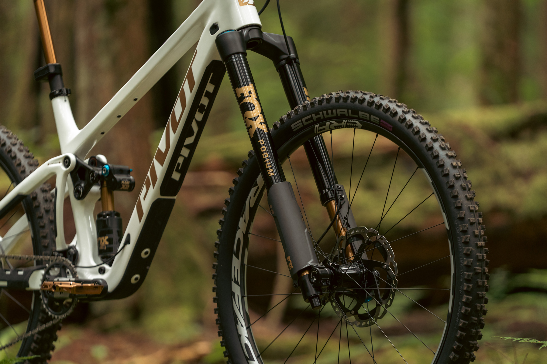David Golay reviews the Fox Podium for Blister
