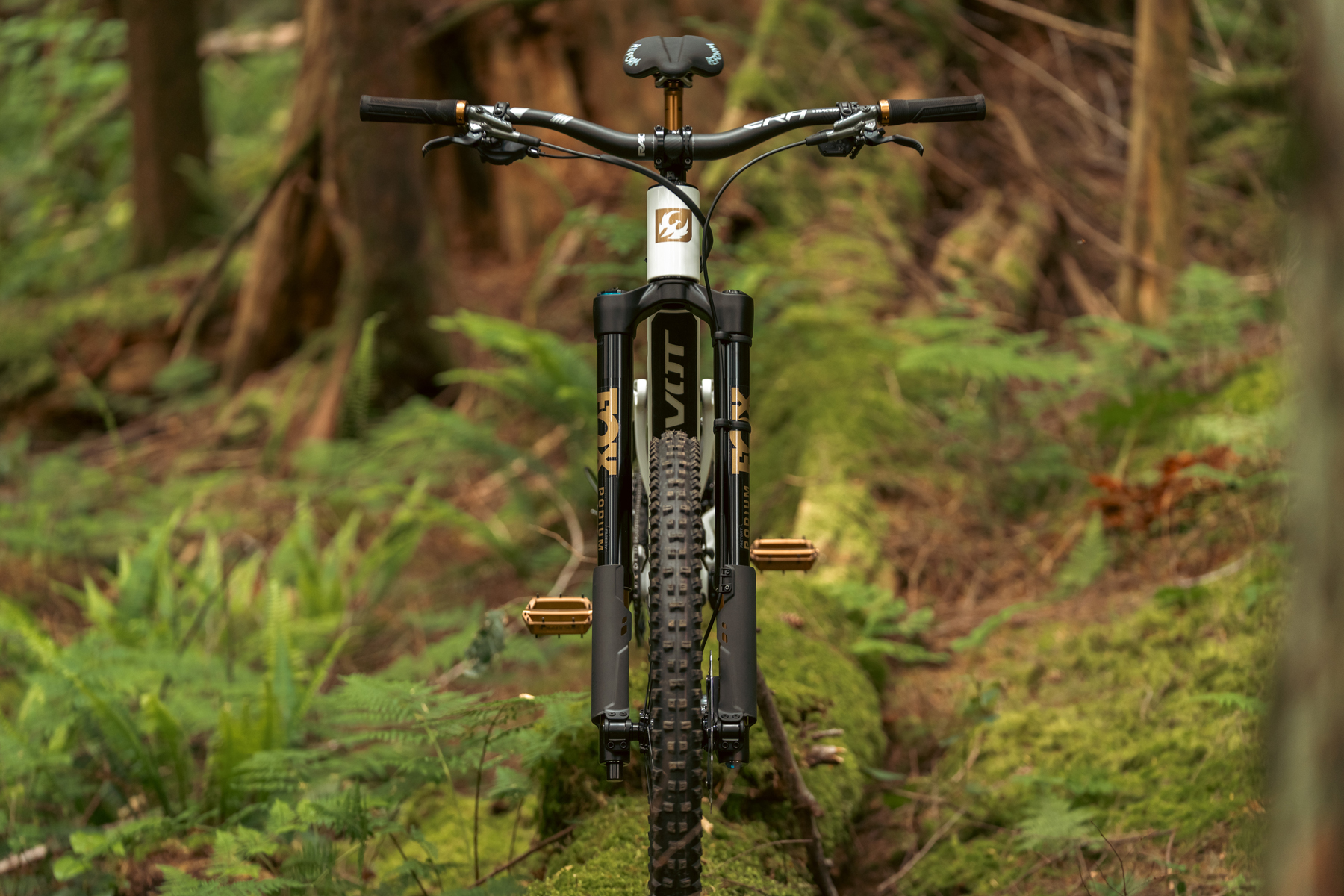 David Golay reviews the Fox Podium for Blister