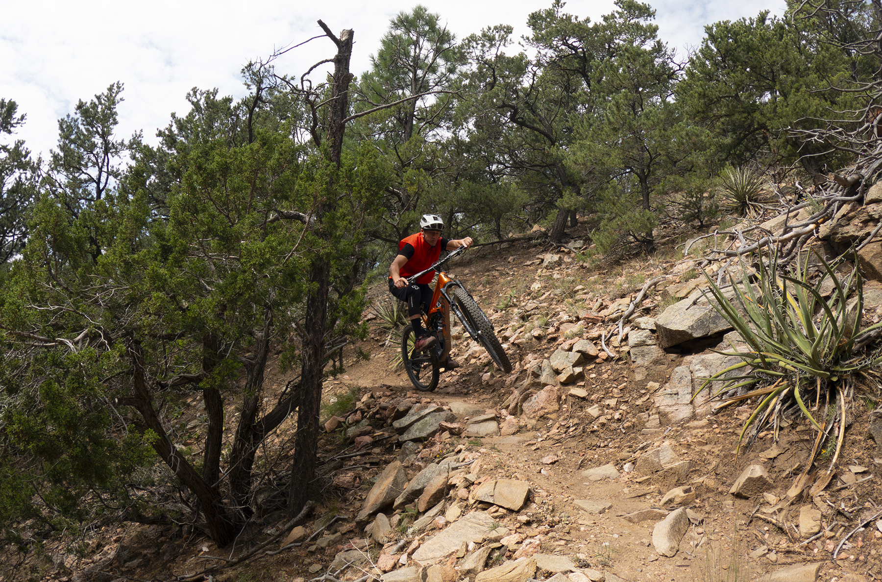 Simon Stewart reviews the Salsa Blackthorn 145