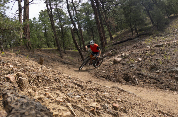 Simon Stewart reviews the Salsa Blackthorn 145