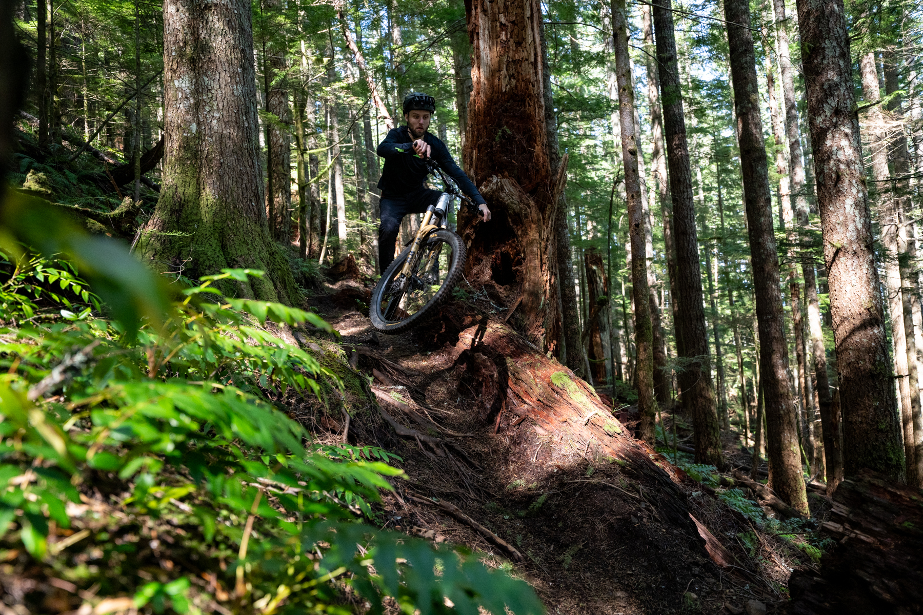 David Golay reviews the Aenomaly Switchgrade 2.0 Evo for Blister