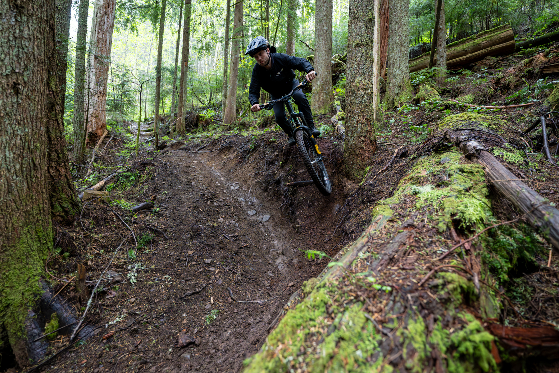 David Golay reviews the TRP Evo Pro brakes for Blister