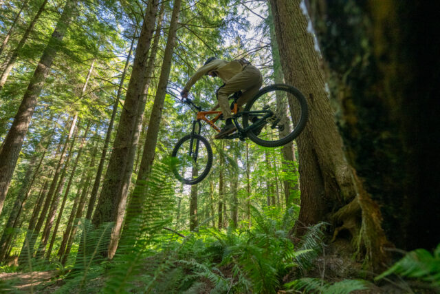 David Golay reviews the Salsa Blackthorn 145