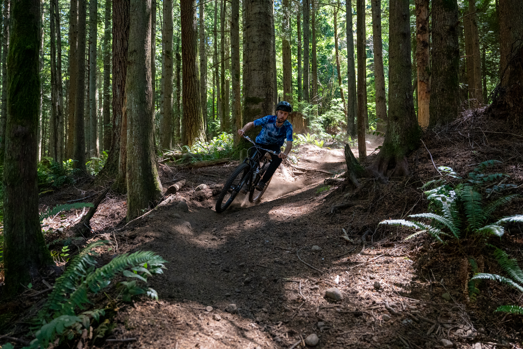 David Golay reviews the Formula Selva V for Blister