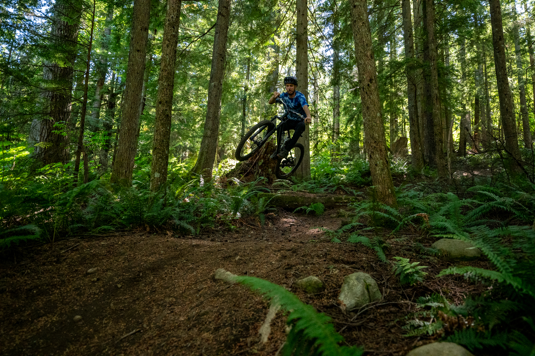 David Golay reviews the Formula Selva V for Blister