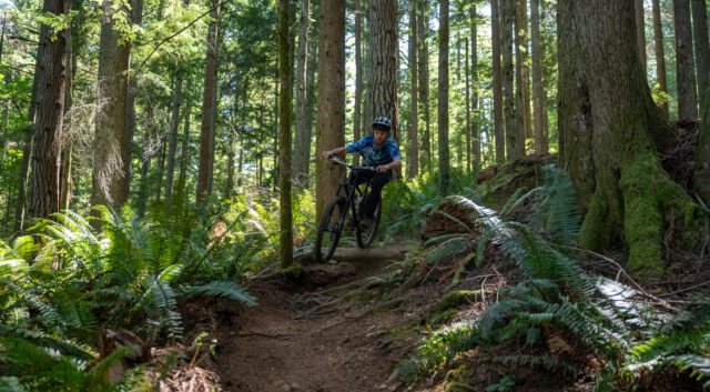 David Golay reviews the Formula Selva V for Blister