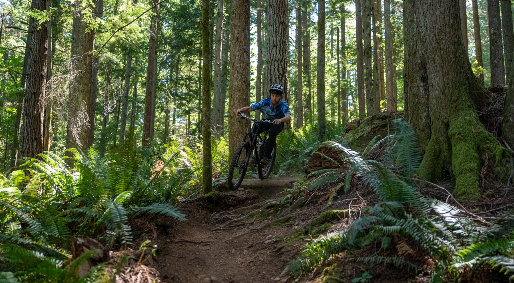 David Golay reviews the Formula Selva V for Blister