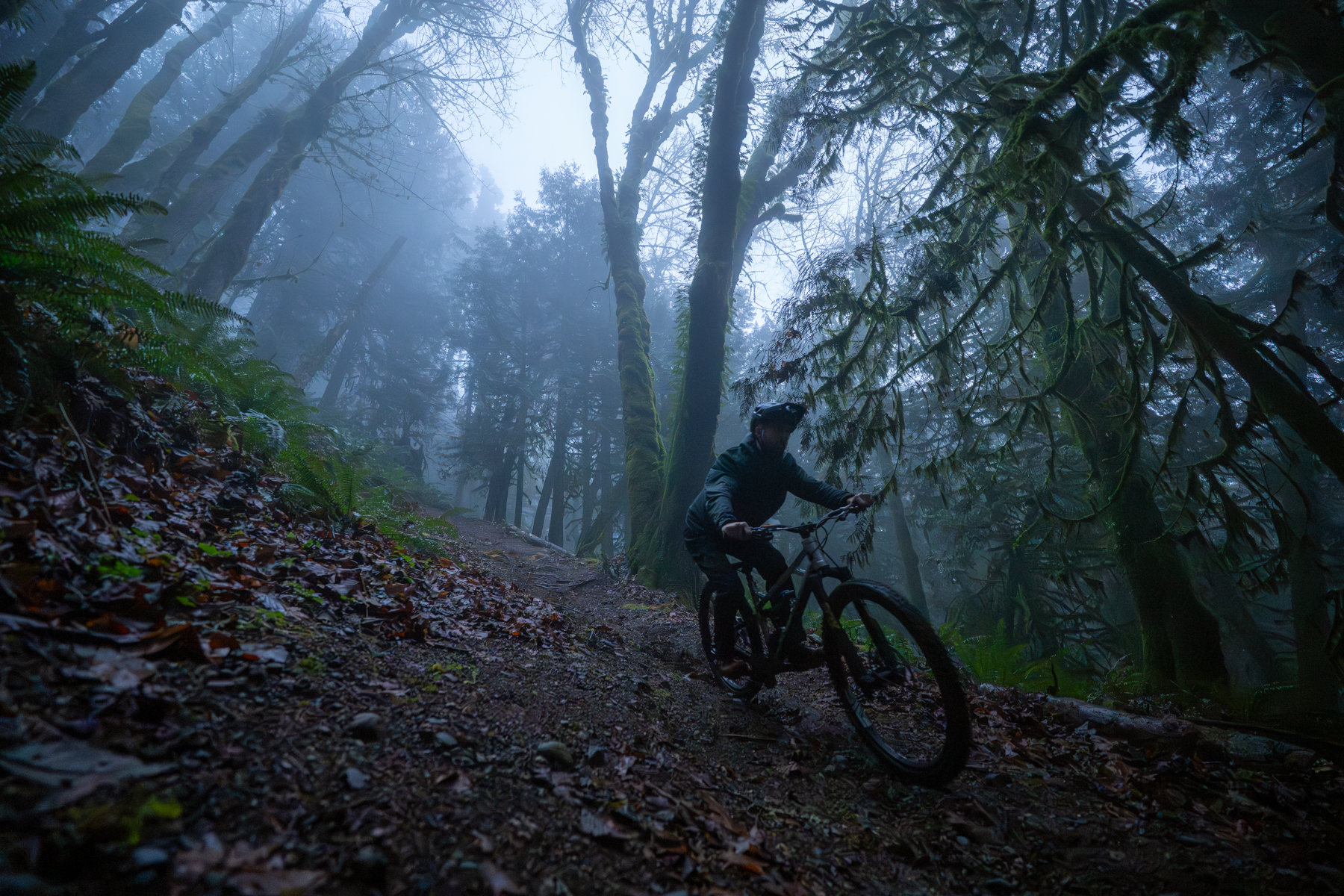 David Golay reviews the Fox Podium for Blister