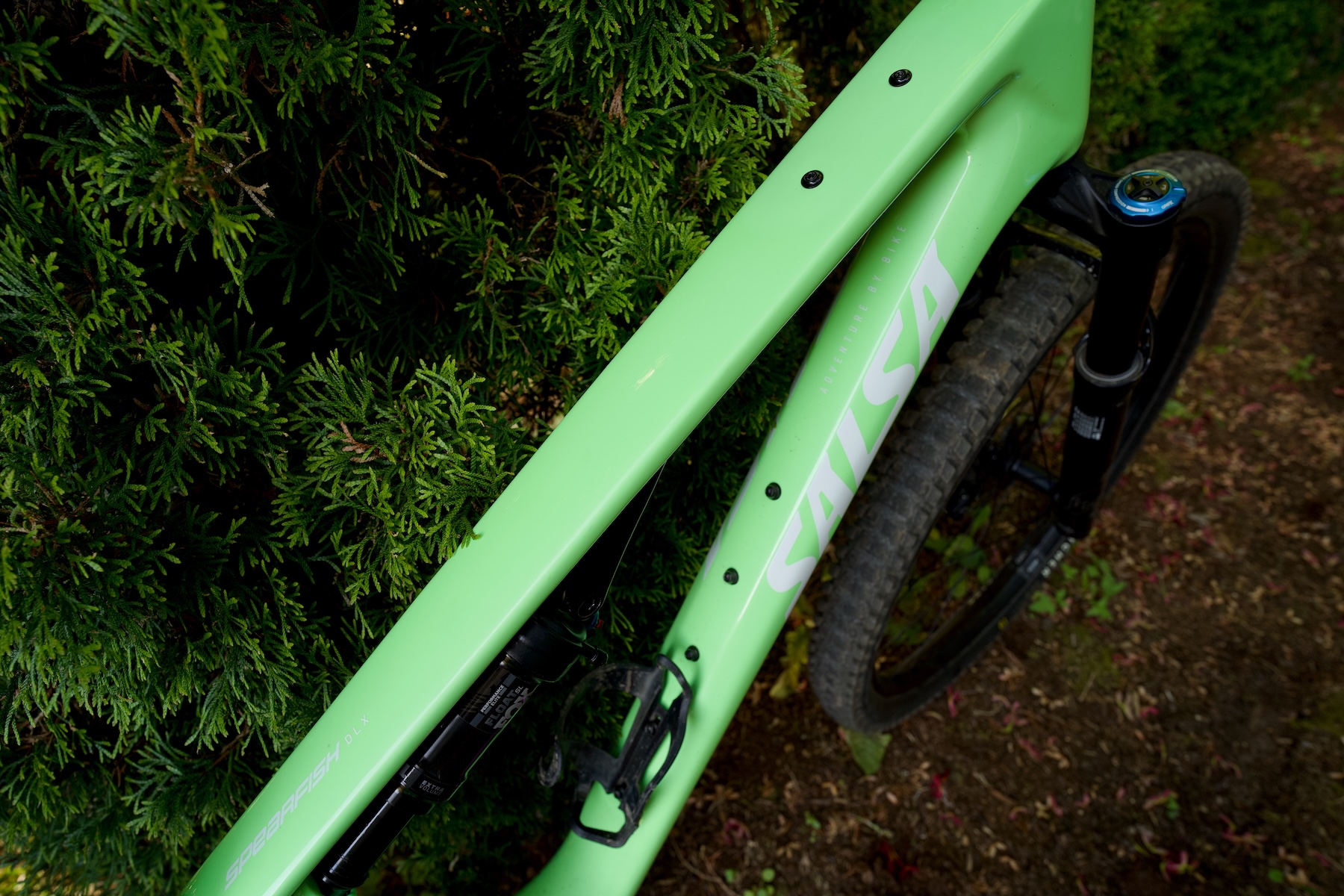 Blister reviews the Salsa Spearfish