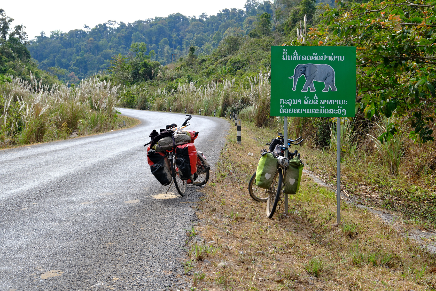 Chris McCaffrey on Riding His Bike Around the World (Ep.278)