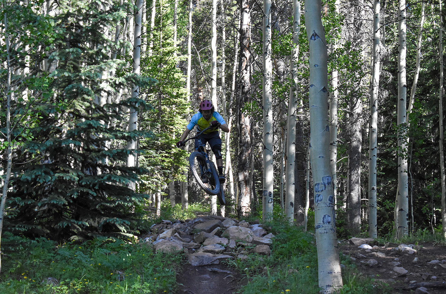 Yeti MTe