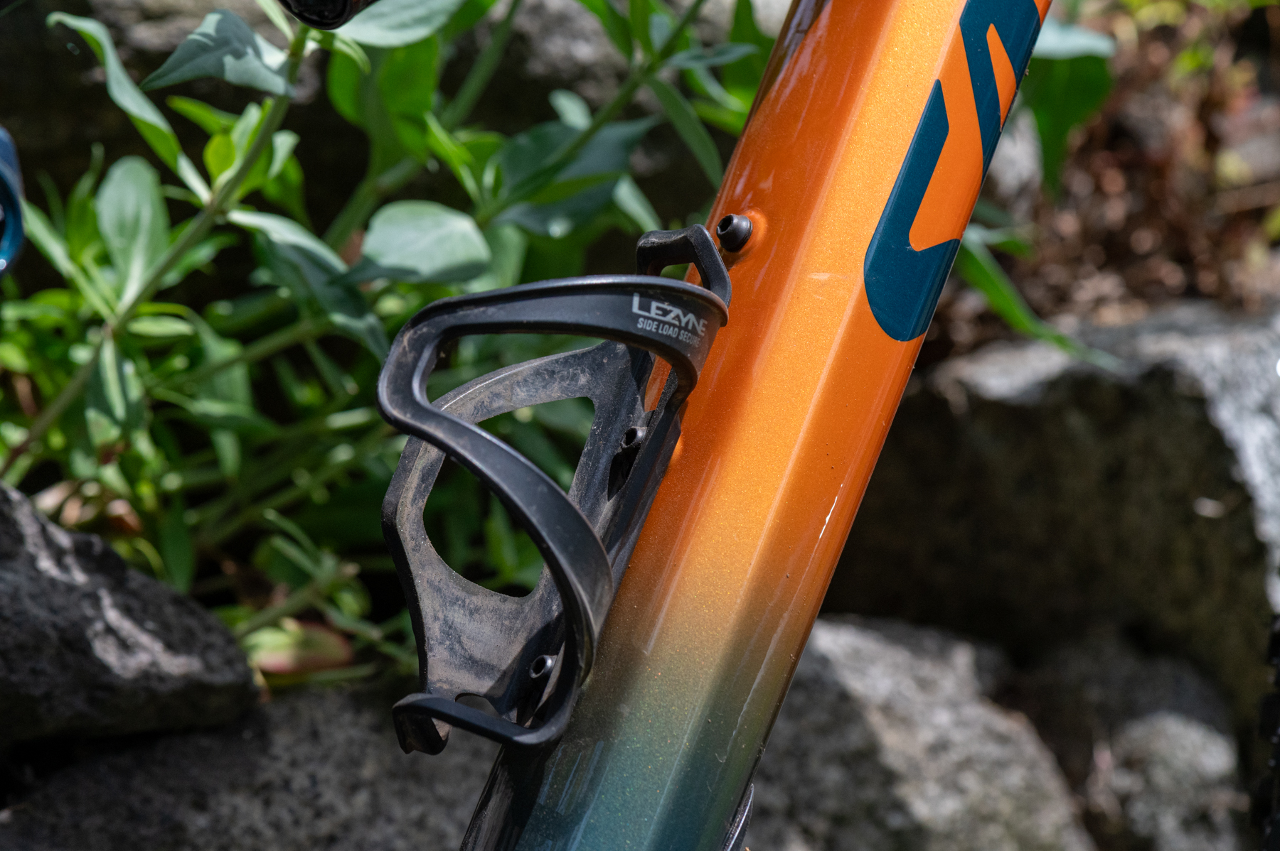 David Golay reviews the Salsa Blackthorn for Blister