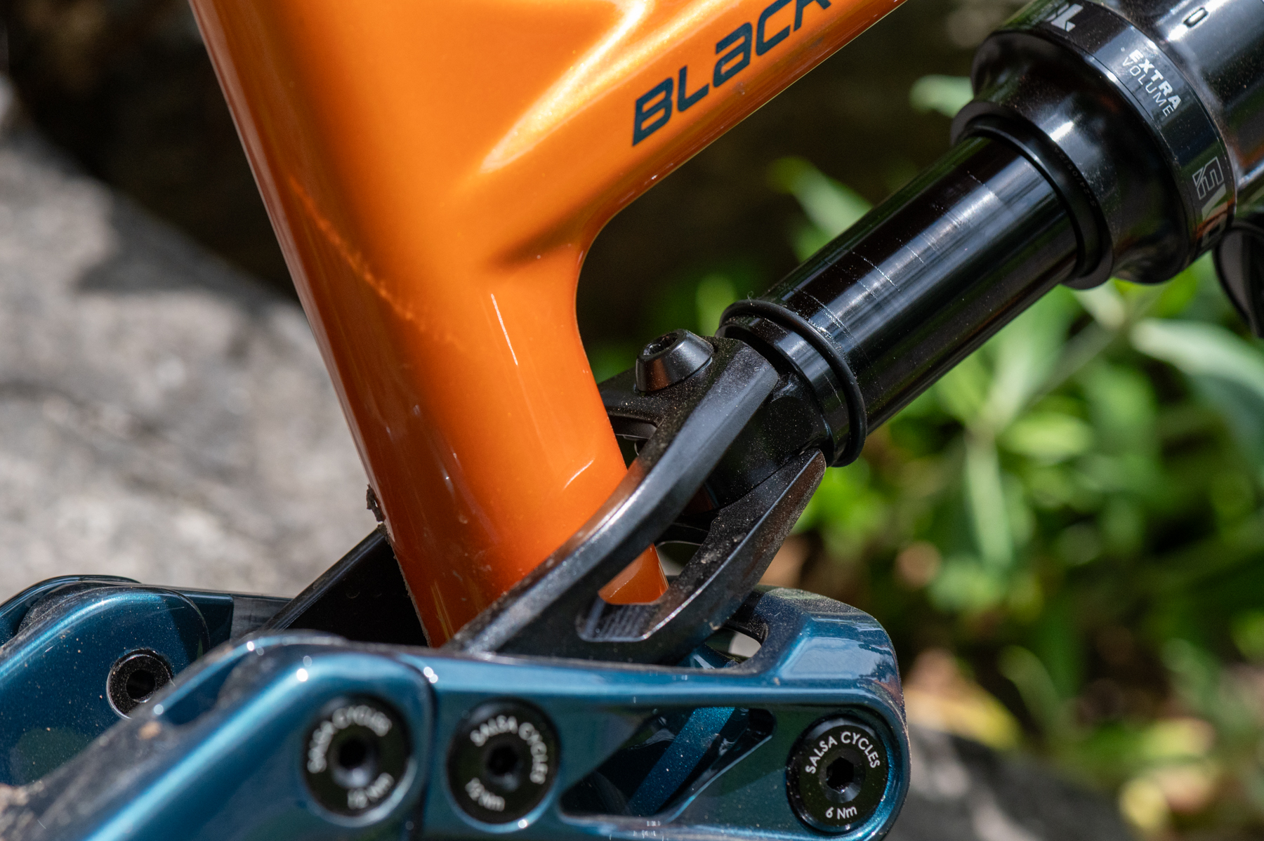 David Golay reviews the Salsa Blackthorn for Blister