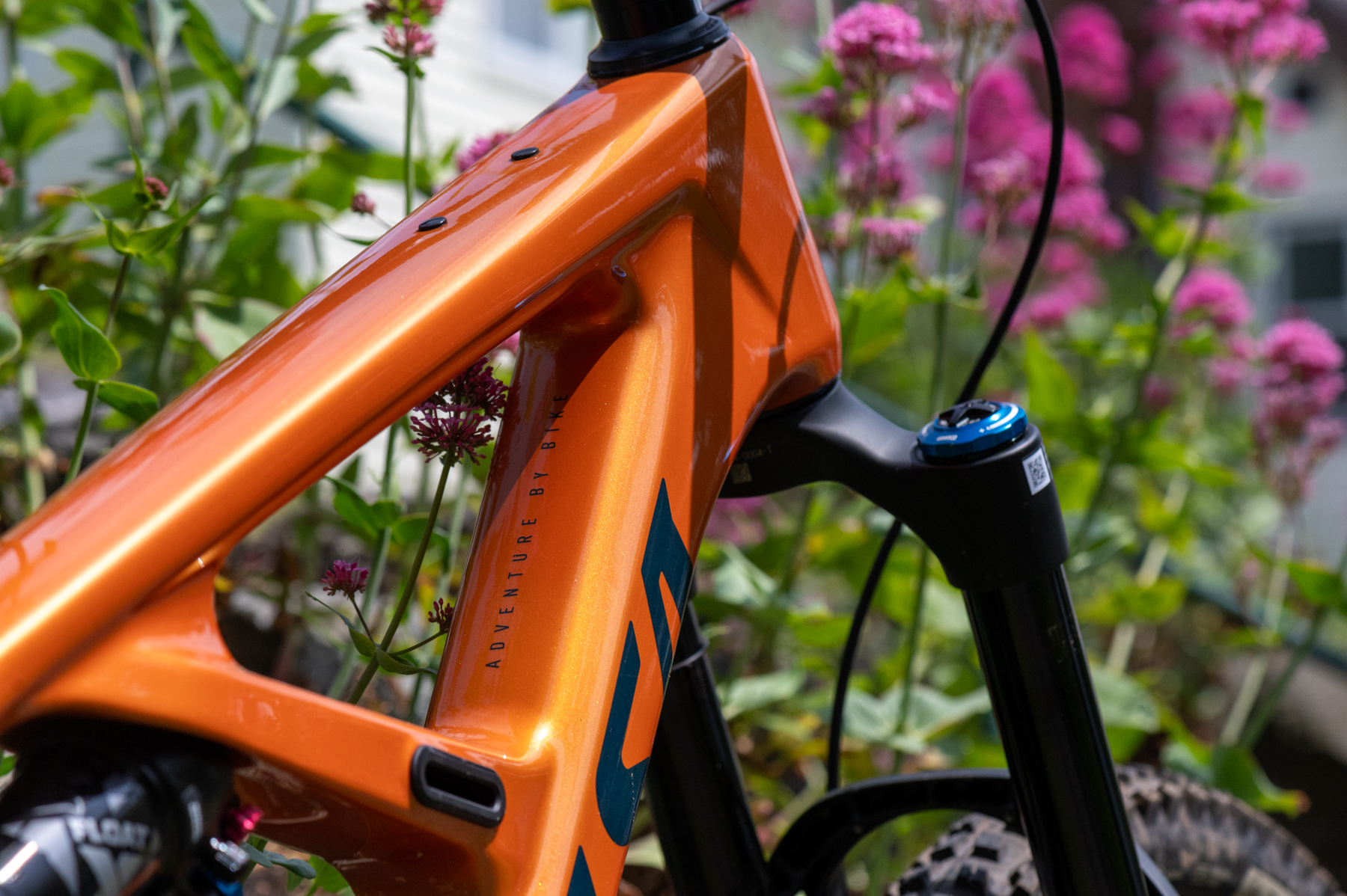 David Golay reviews the Salsa Blackthorn for Blister