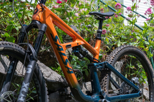 David Golay reviews the Salsa Blackthorn for Blister