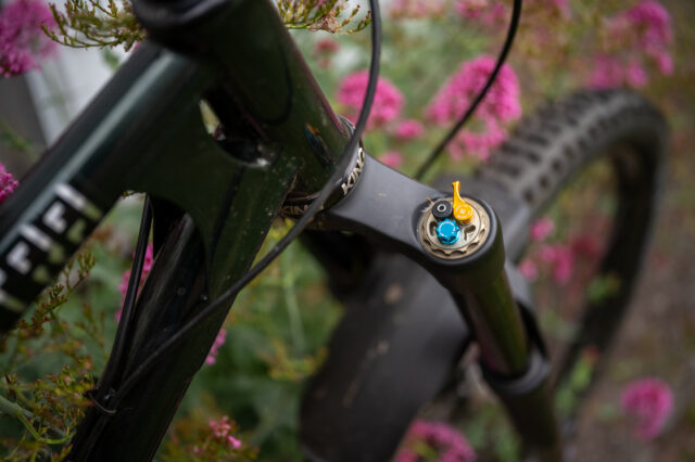 David Golay reviews the Formula Selva V for Blister