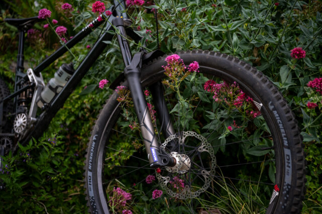 David Golay reviews the Formula Selva V for Blister