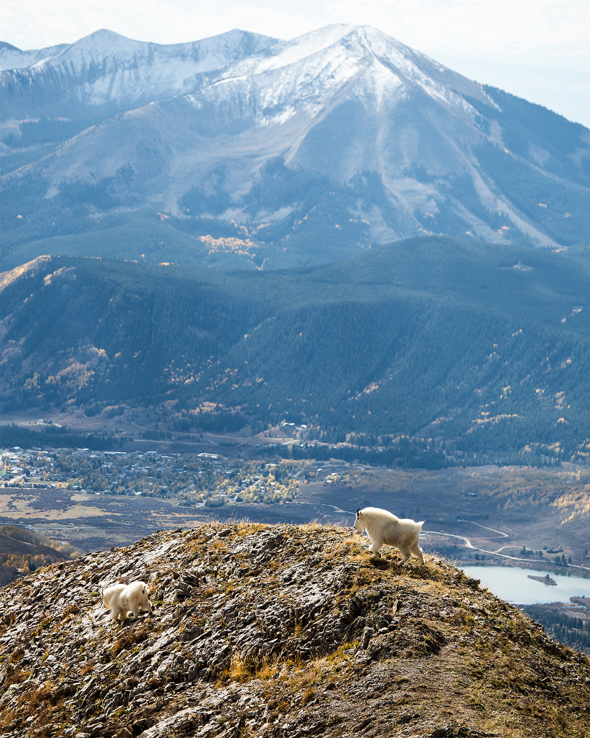 Deceitful &amp; Dangerous: Why the Senate’s Public Land Sale Won’t Help the Housing Crisis