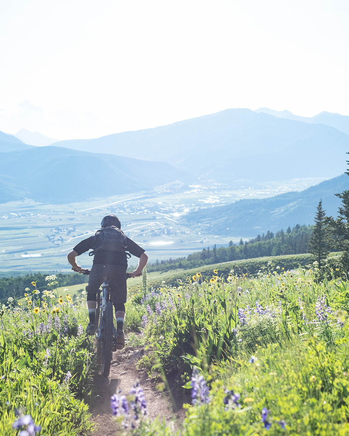 Deceitful &amp; Dangerous: Why the Senate’s Public Land Sale Won’t Help the Housing Crisis