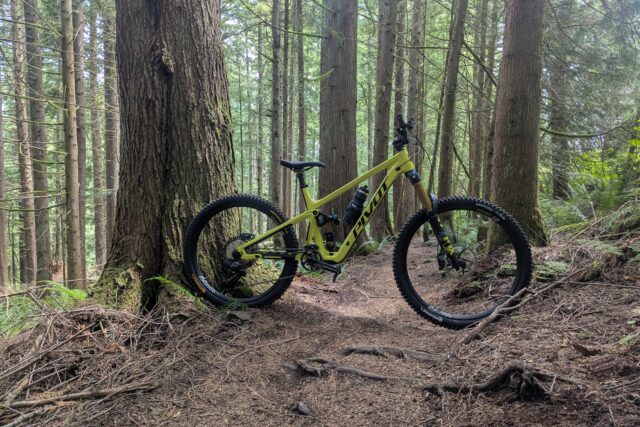David Golay reviews the Pivot Firebird V5 for Blister
