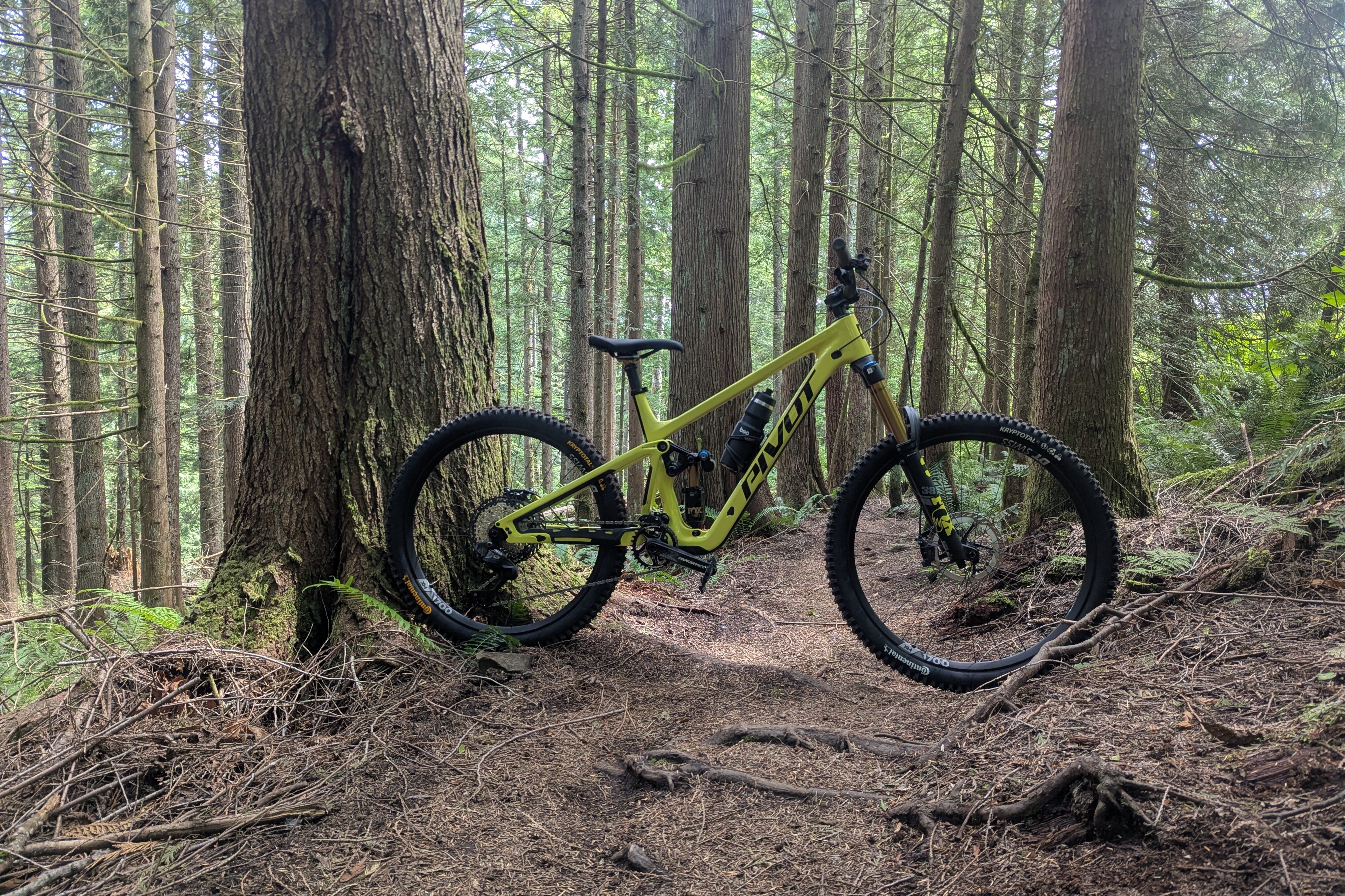 David Golay reviews the Pivot Firebird V5 for Blister