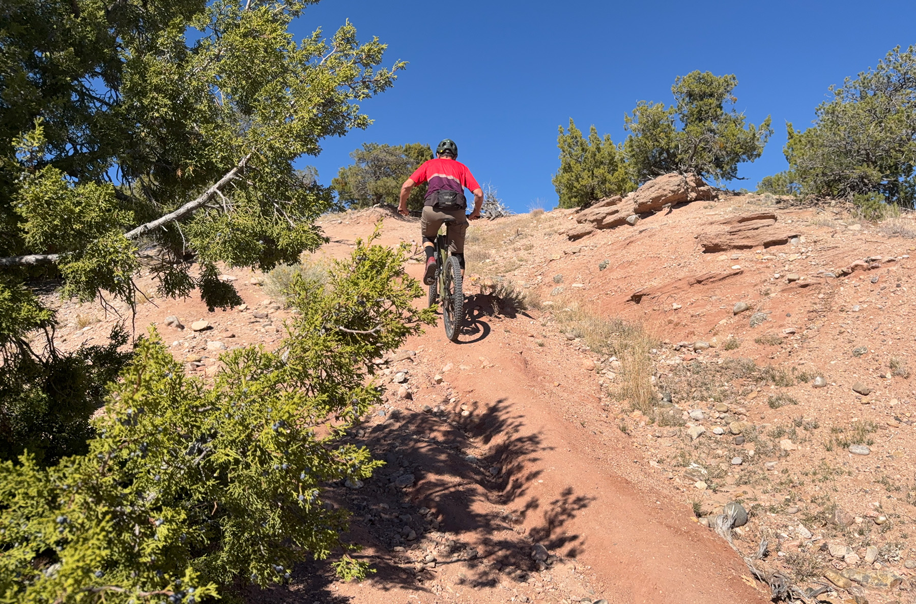 Simon Stewart reviews the Esker Woodsy