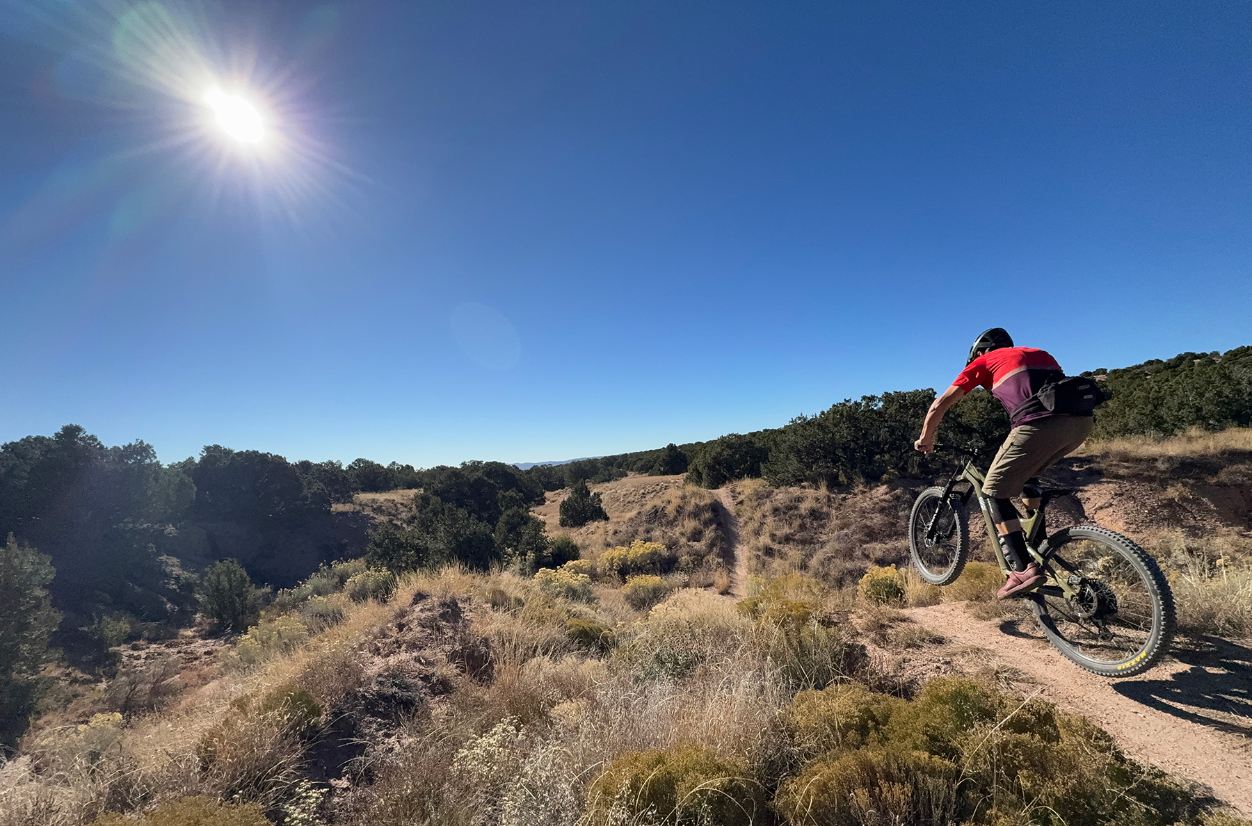 Simon Stewart reviews the Esker Woodsy