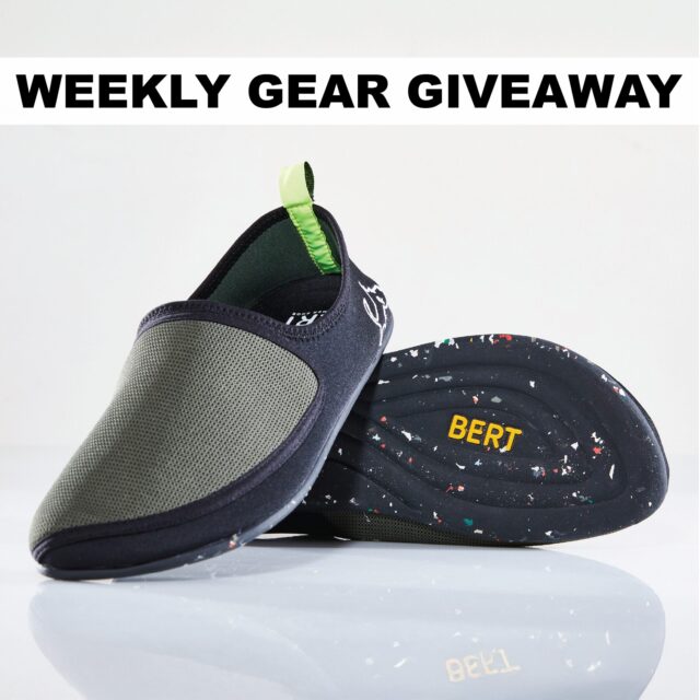 Win Shoes From Bert