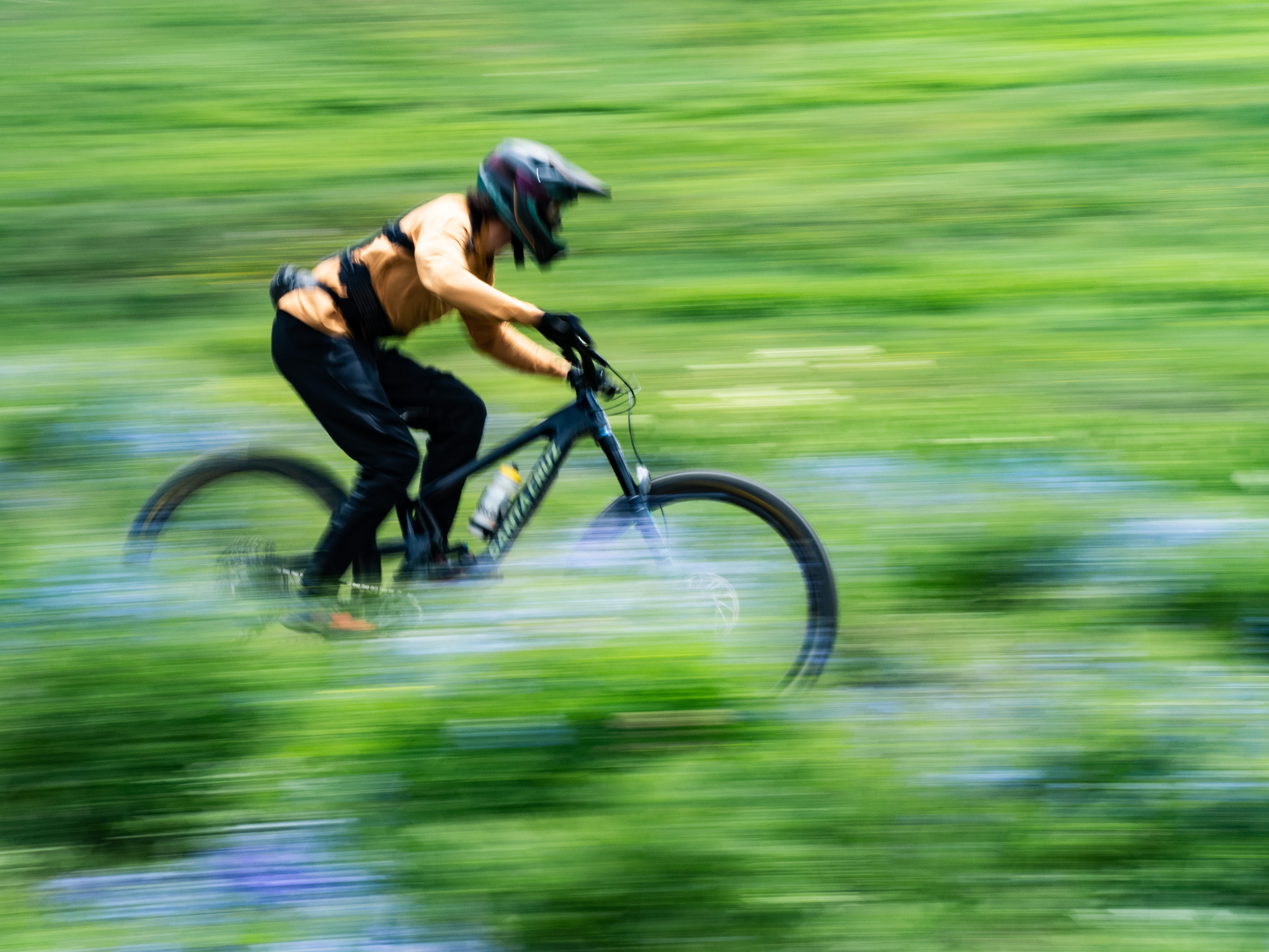 Blister Mountain Bike Buyer's Guide