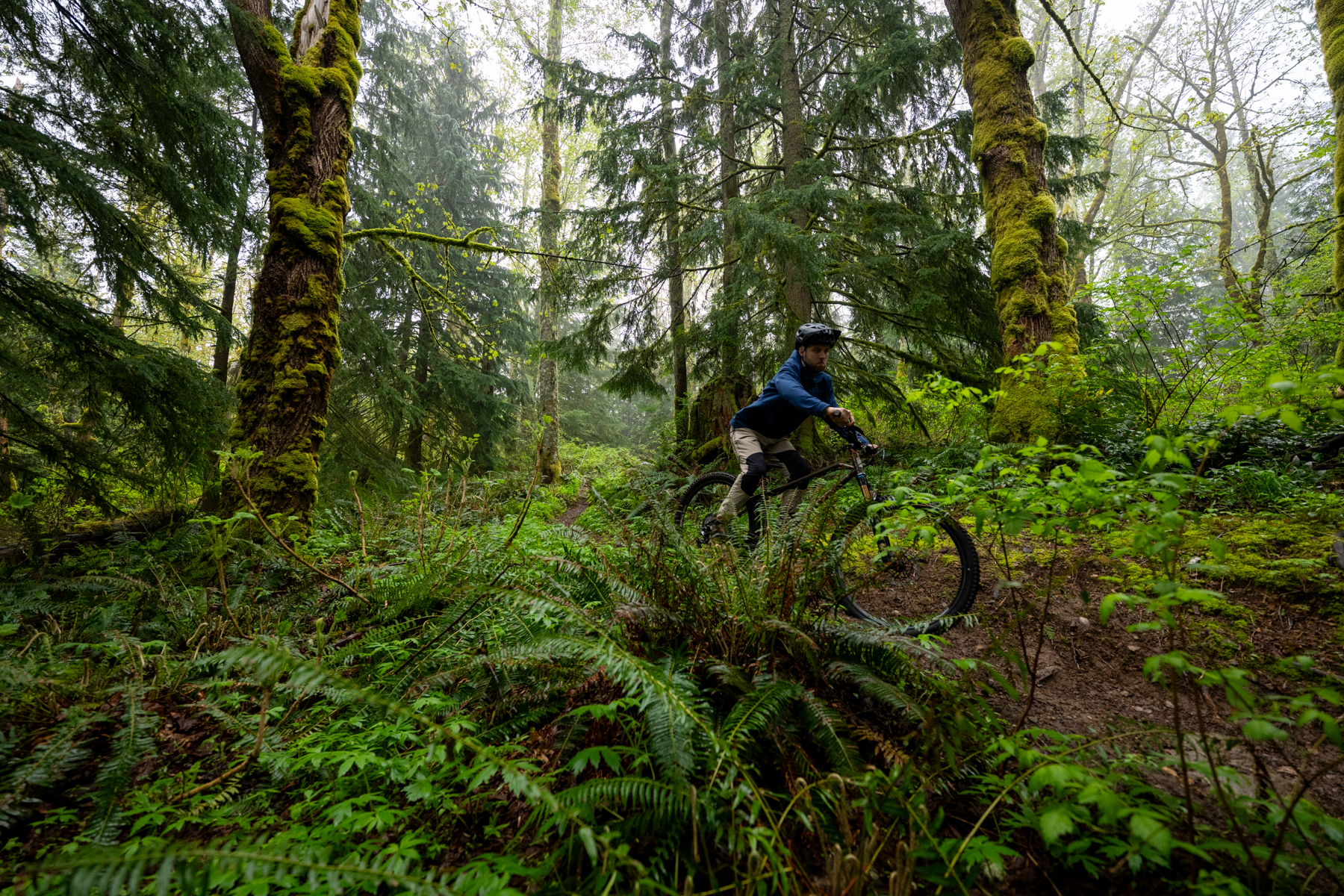 David Golay reviews the Schwalbe Albert Radial tires for Blister