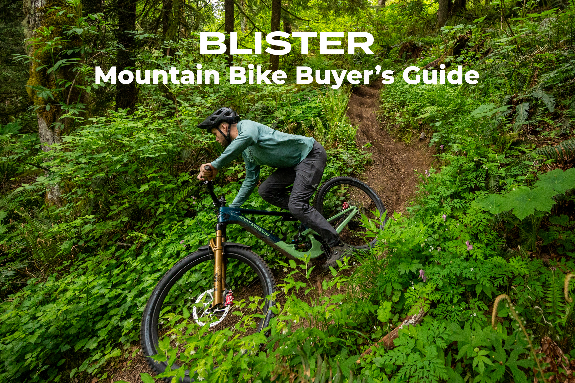 Blister Mountain Bike Buyer's Guide