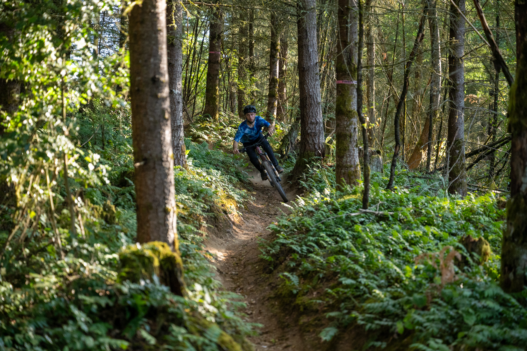 David Golay and Zack Henderson review the Propain Hugene 3 for Blister