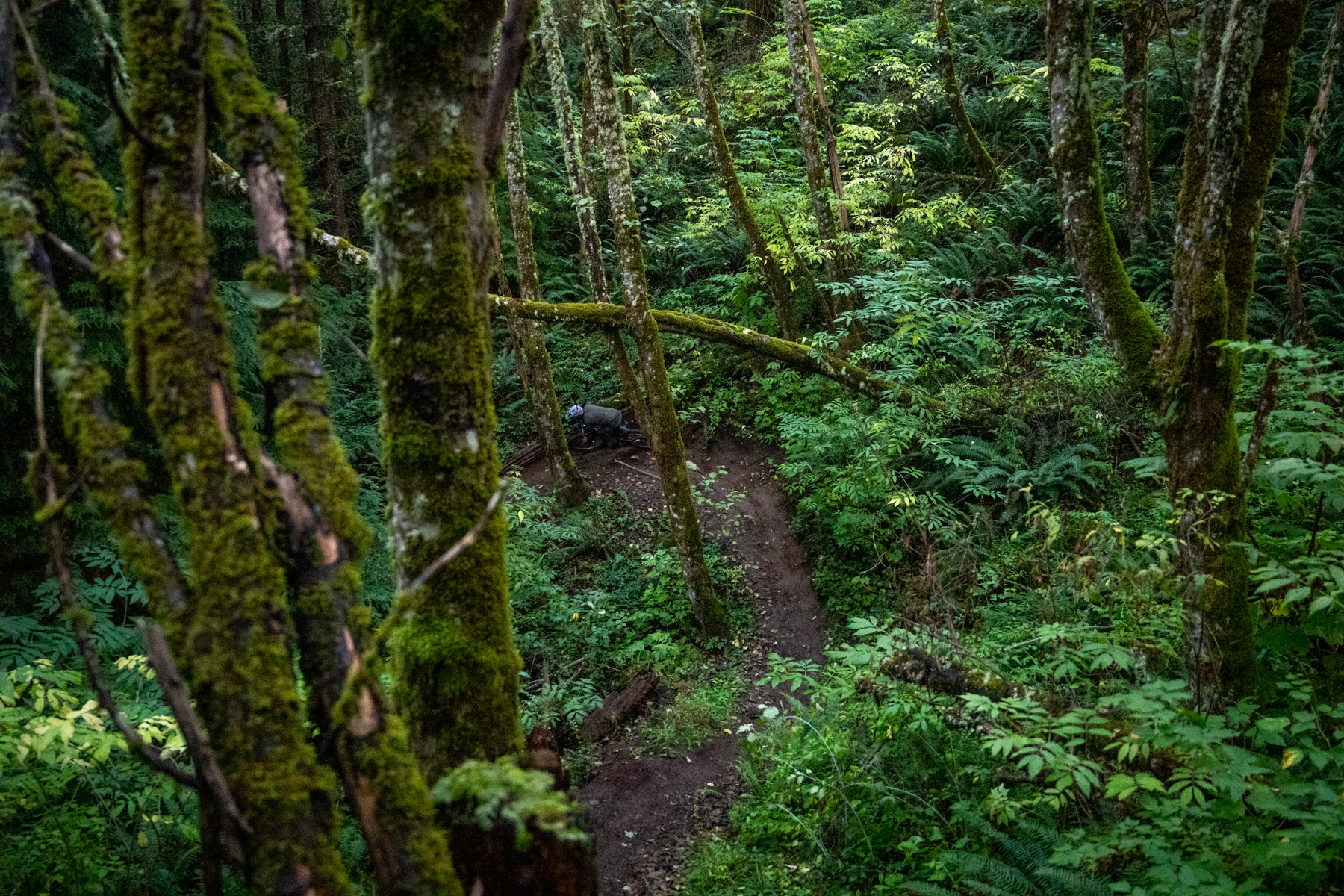 David Golay and Zack Henderson review the Propain Hugene 3 for Blister