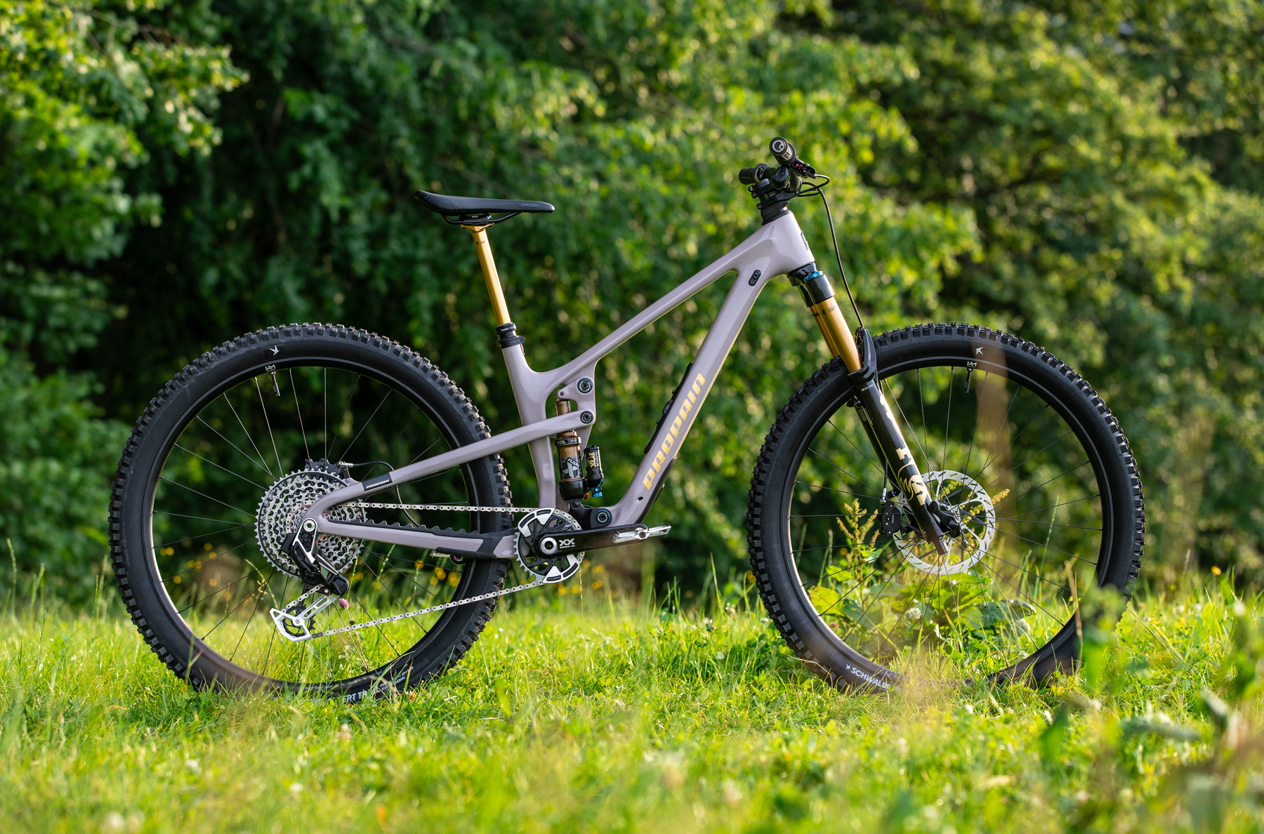 David Golay reviews the Propain Hugene 3 CF for Blister