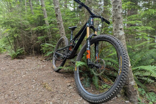David Golay reviews the Propain Tyee for Blister