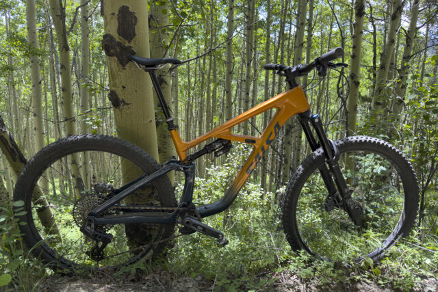 Salsa Blackthorn 145