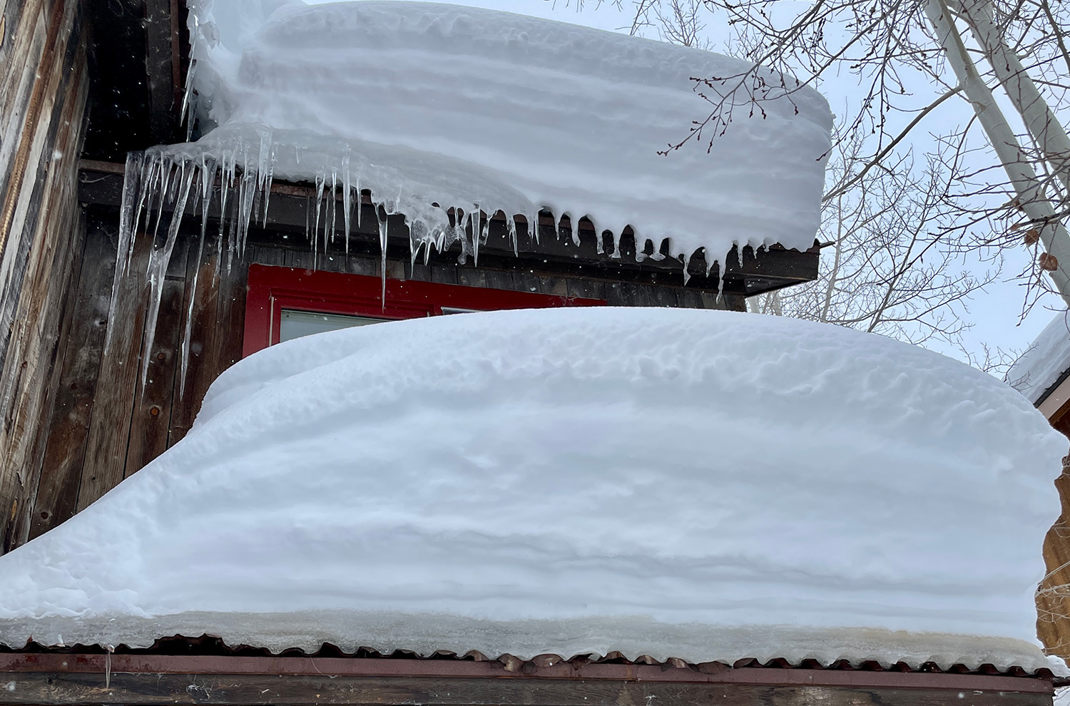 Jonathan's Roof
