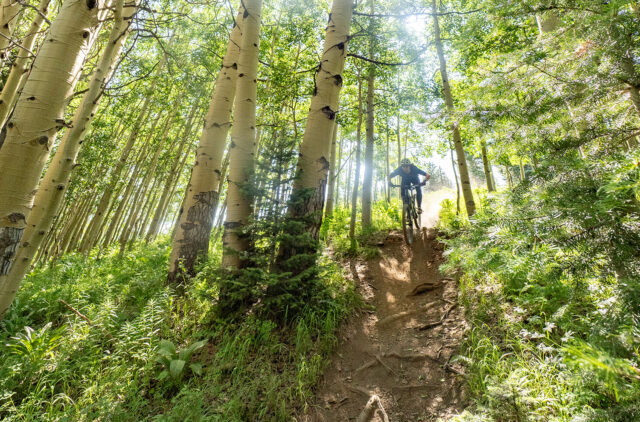 BLISTER — Outdoor Gear Reviews, Podcasts, Buyer’s Guides, Giveaways