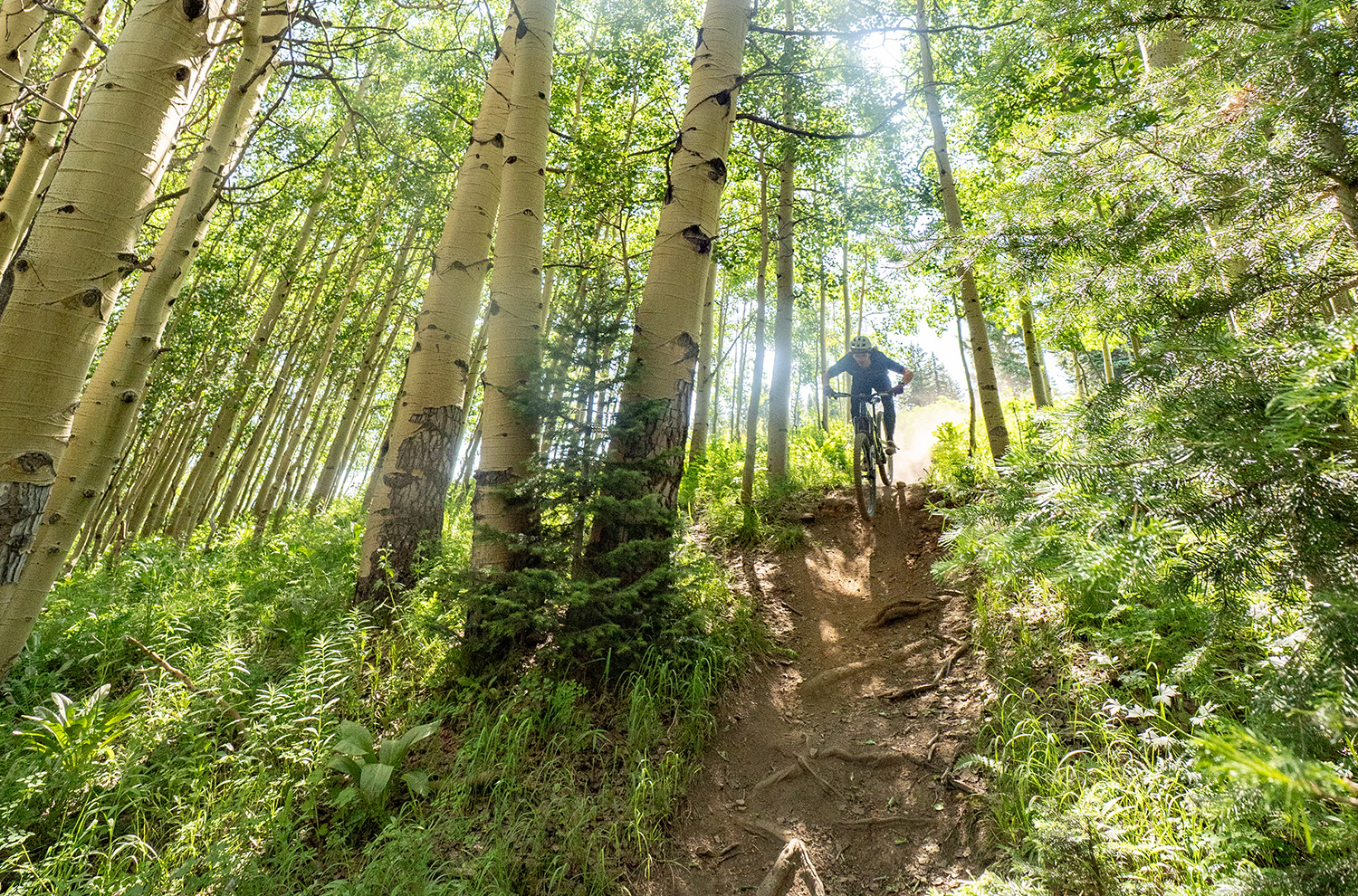 Santa Cruz Hightower 4
