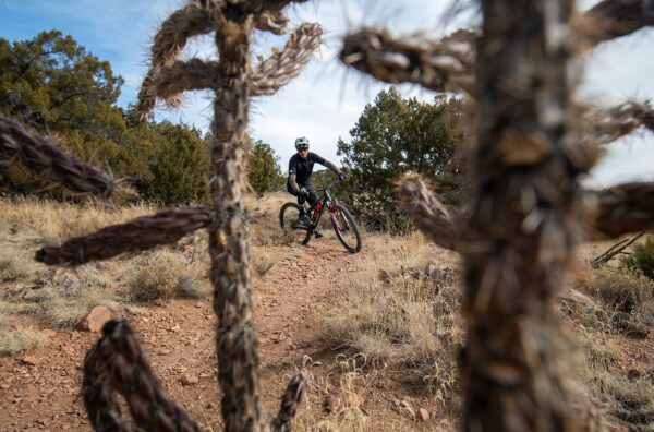 Simon Stewart reviews the Norco Revolver 120