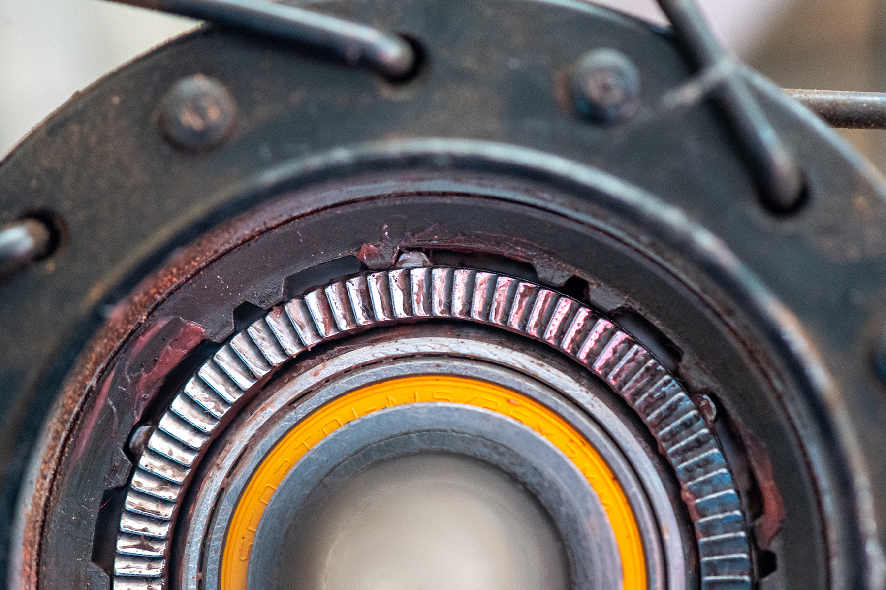 David Golay reviews the DT Swiss Ratchet DEG DF freehub for Blister