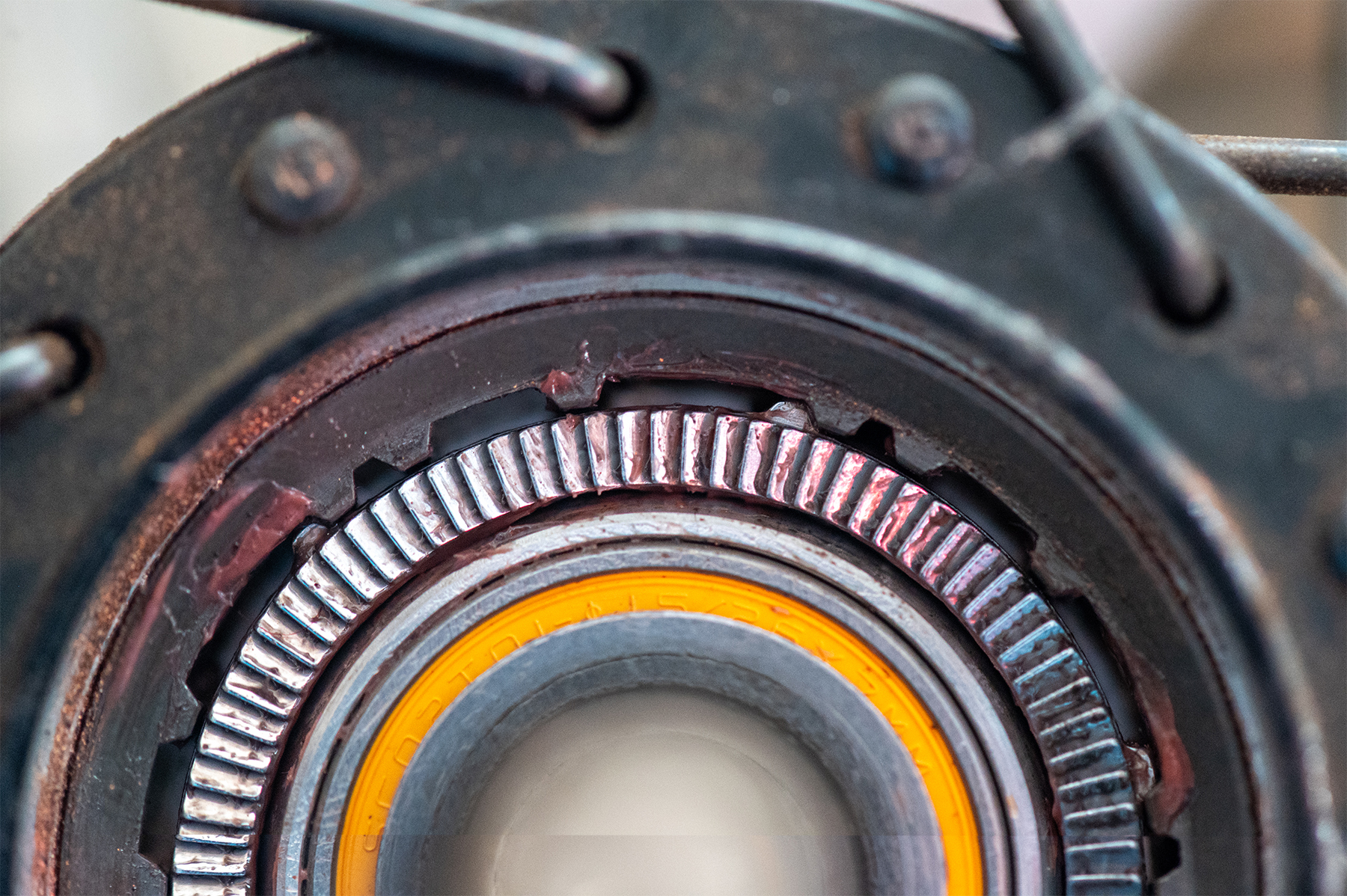 David Golay reviews the DT Swiss Ratchet DEG DF freehub for Blister